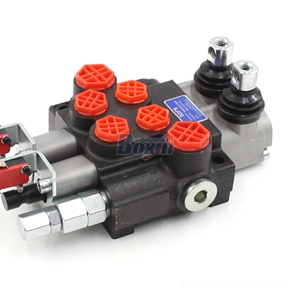Tailor Your Hydraulics: OEM & ODM Services for P40 Micro Switch Valve cover photo